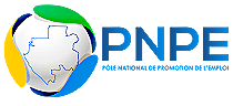 Logo PNPE